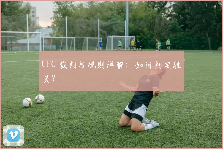 UFC 裁判与规则详解：如何判定胜负？