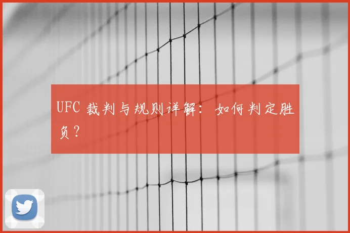 UFC 裁判与规则详解：如何判定胜负？